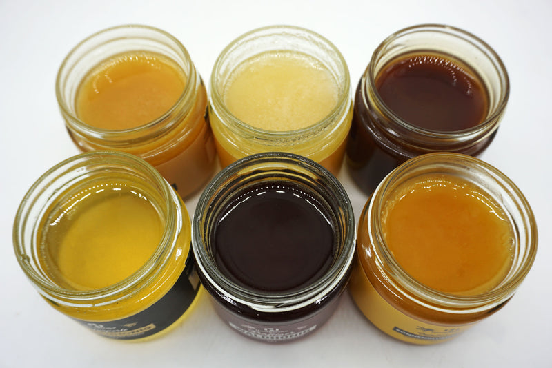 Honigprobierset | 6 köstliche Sorten à 250g - HonigWabe